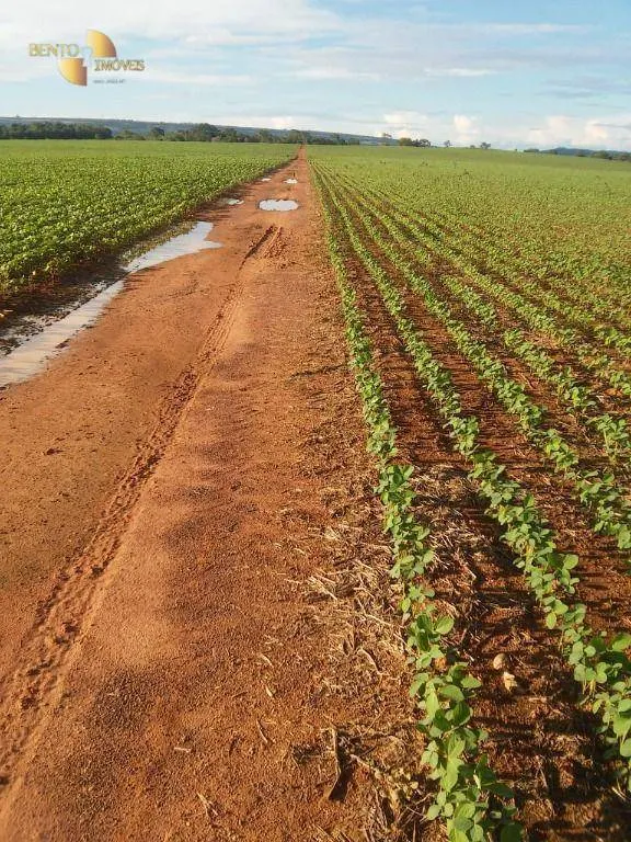 Fazenda à venda de 212 ha em Juscimeira, MT, Brasil
