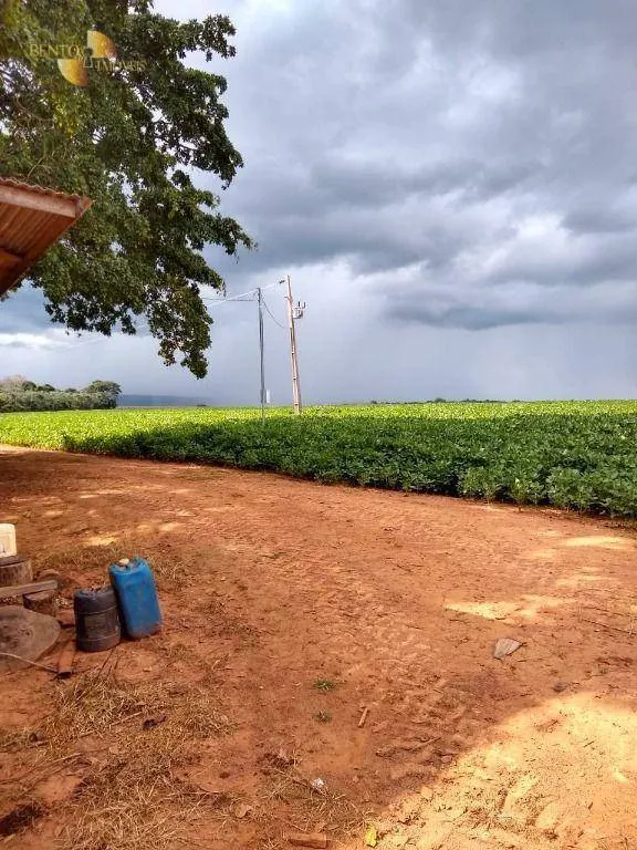 Fazenda à venda de 212 ha em Juscimeira, MT, Brasil
