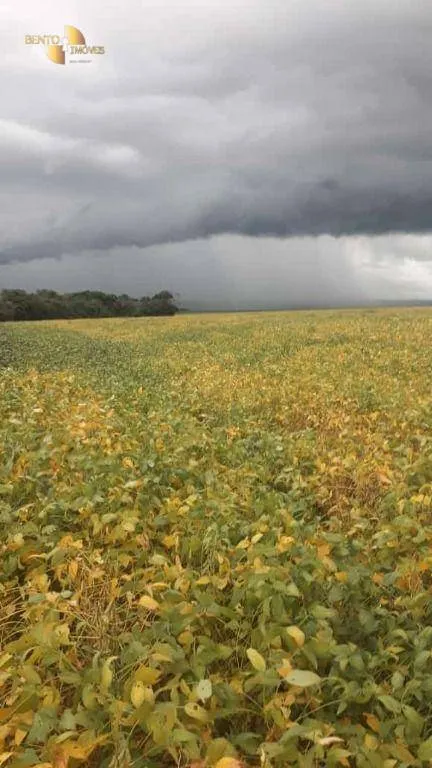 Fazenda à venda de 212 ha em Juscimeira, MT, Brasil