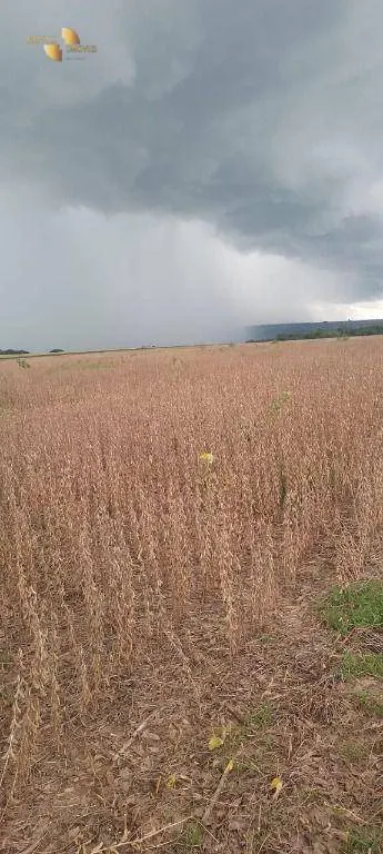 Fazenda à venda de 212 ha em Juscimeira, MT, Brasil
