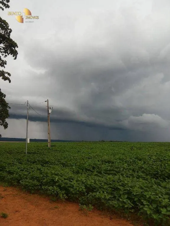 Fazenda à venda de 212 ha em Juscimeira, MT, Brasil