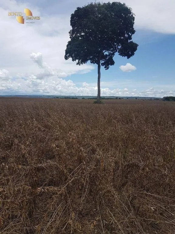 Fazenda à venda de 212 ha em Juscimeira, MT, Brasil