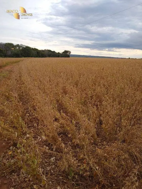 Fazenda à venda de 212 ha em Juscimeira, MT, Brasil