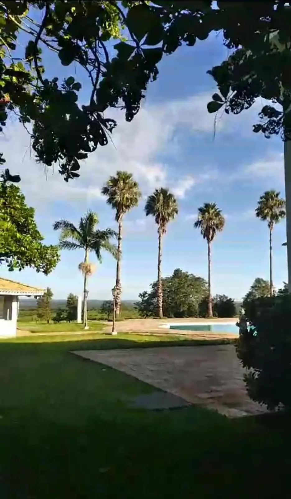 Fazenda à venda e para Arrendar de 3.146 ha em Bauru, SP, Brasil