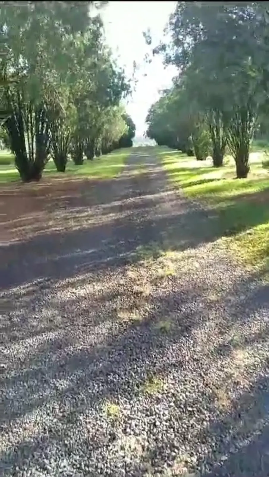 Fazenda à venda e para Arrendar de 3.146 ha em Bauru, SP, Brasil