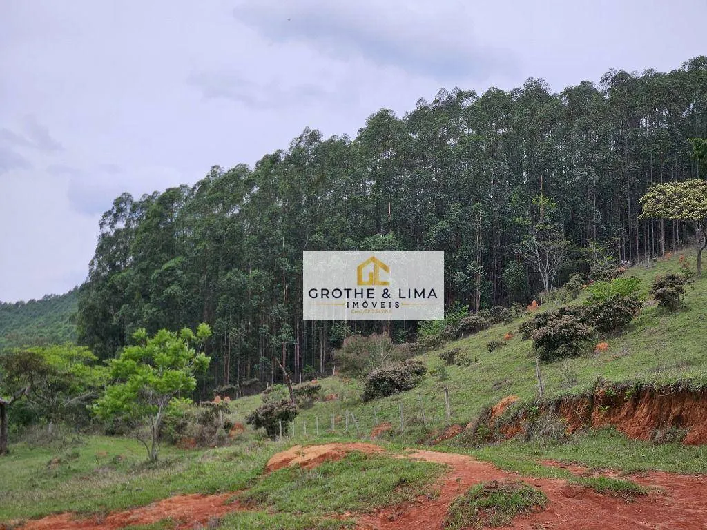 Fazenda à venda e para Arrendar de 292 ha em Guaratinguetá, SP, Brasil