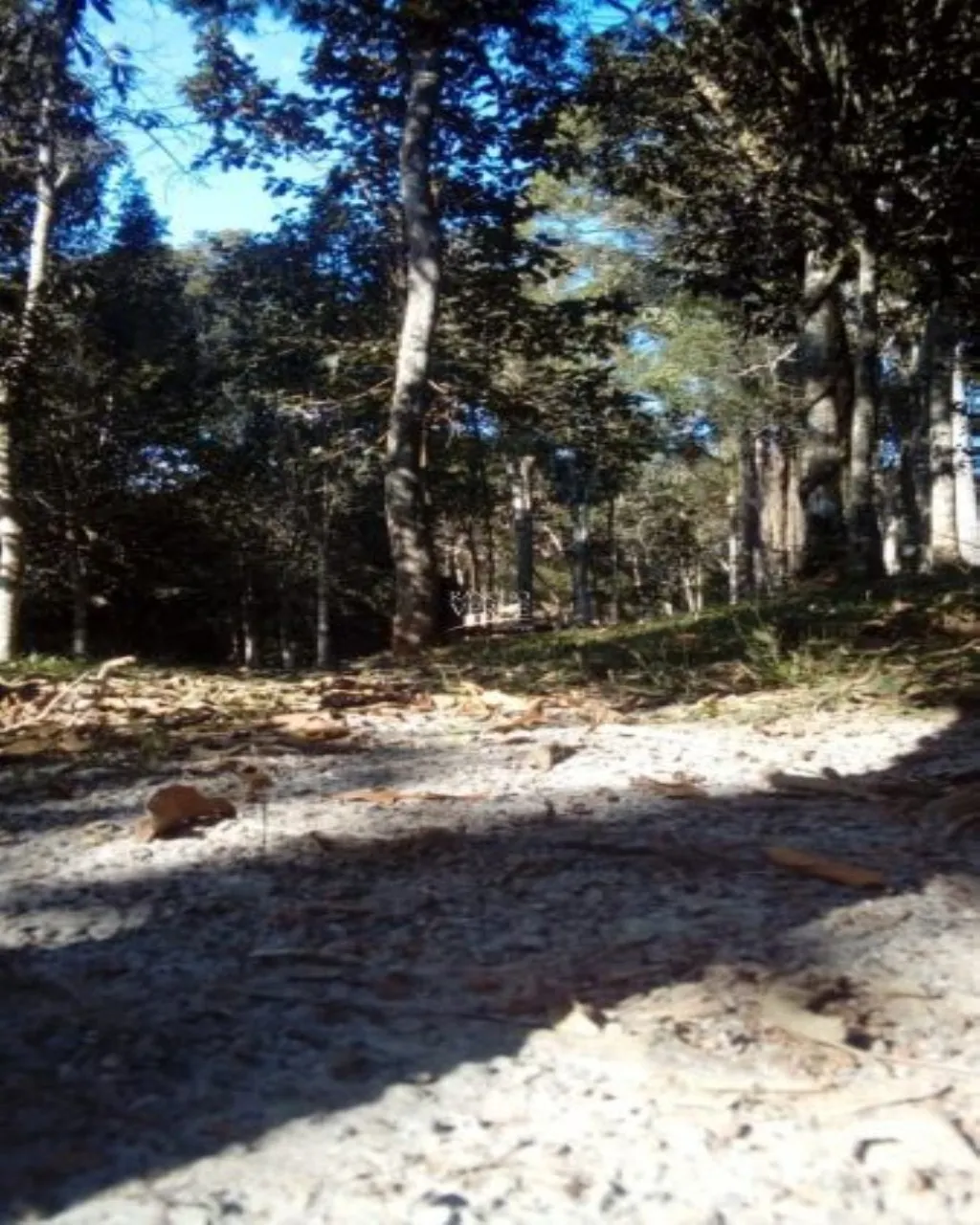 Sítio à venda de 1 ha em Santo Antônio do Pinhal, SP, Brasil