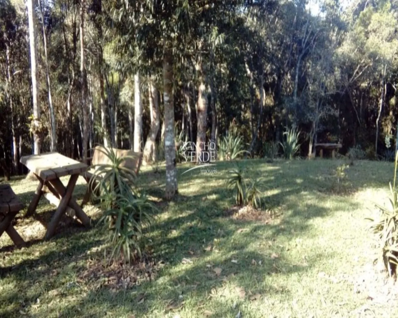 Sítio à venda de 1 ha em Santo Antônio do Pinhal, SP, Brasil
