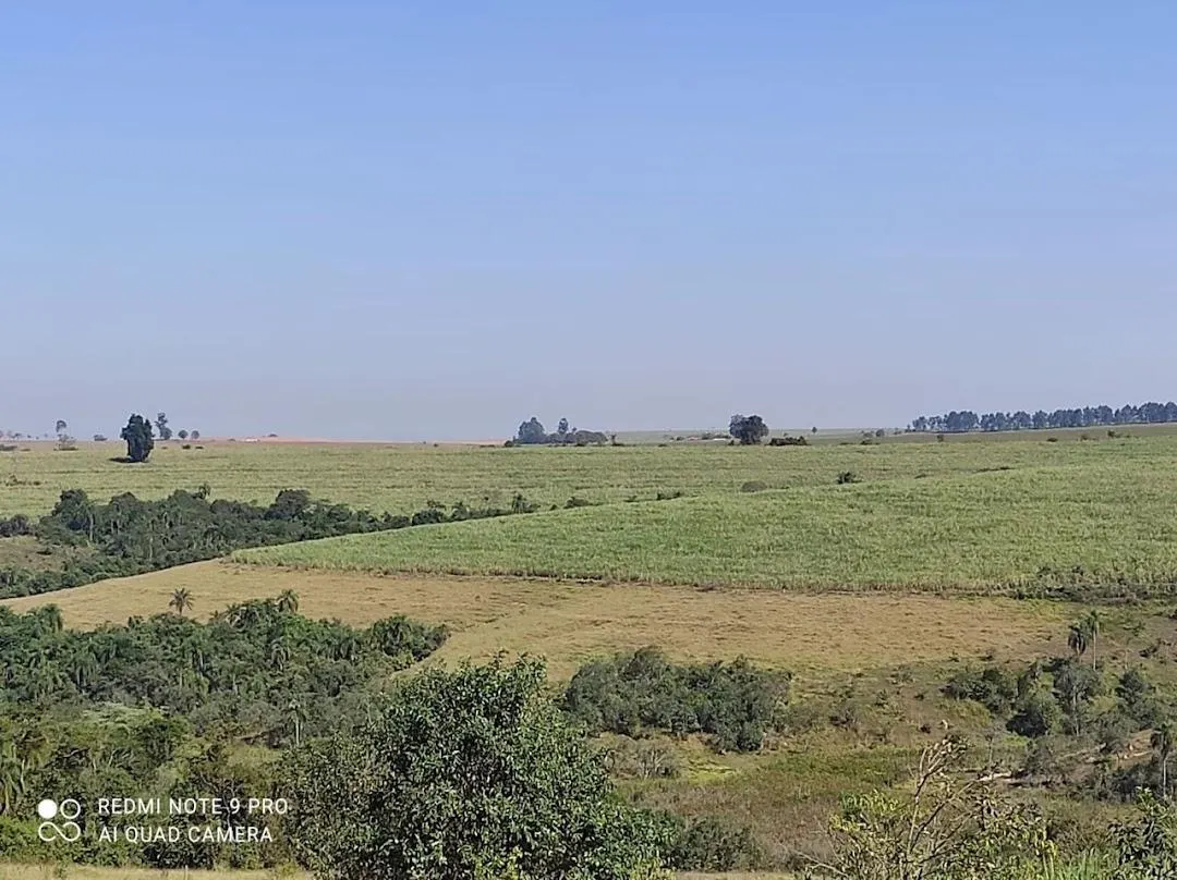Fazenda à venda de 500 ha em Piracicaba, SP, Brasil