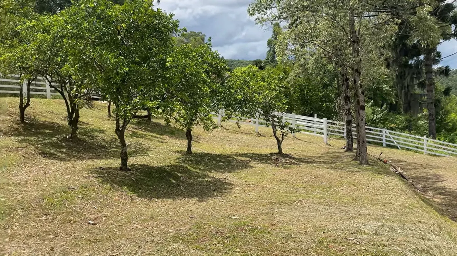 Chácara à venda de 8.000 m² em Rolante, RS, Brasil