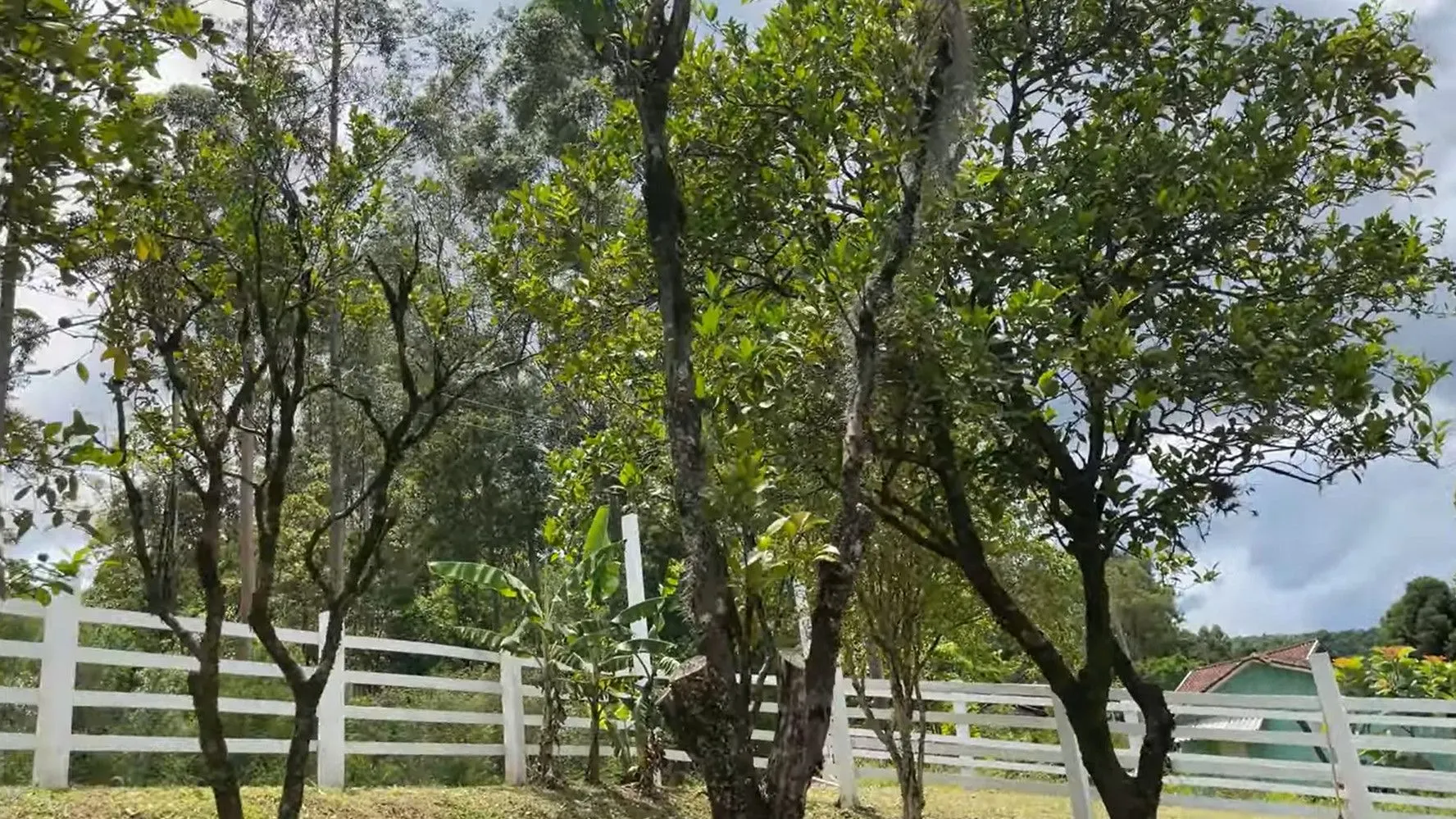 Chácara à venda de 8.000 m² em Rolante, RS, Brasil
