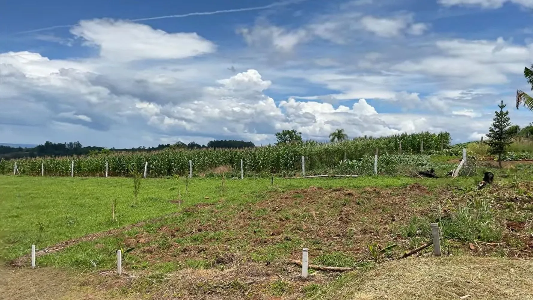 Chácara à venda de 8.000 m² em Rolante, RS, Brasil