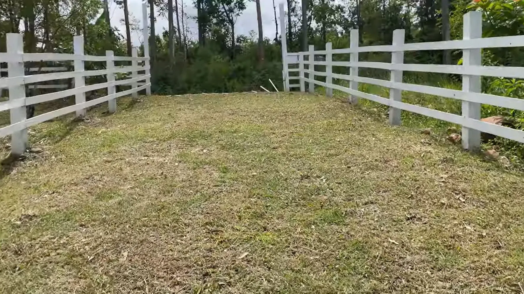Chácara à venda de 8.000 m² em Rolante, RS, Brasil