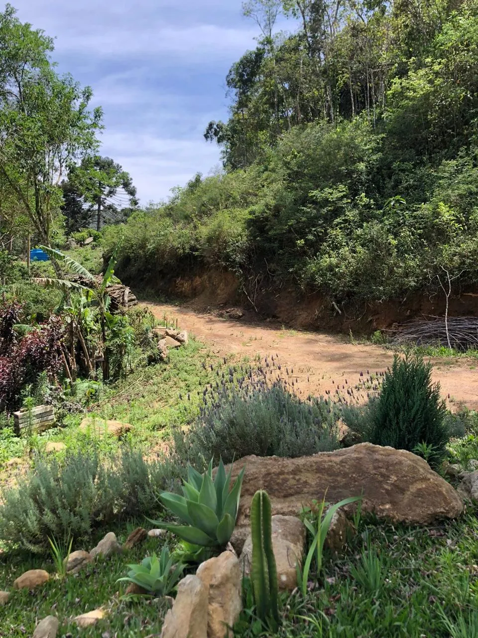 Sítio à venda de 14 ha em Alagoa, MG, Brasil