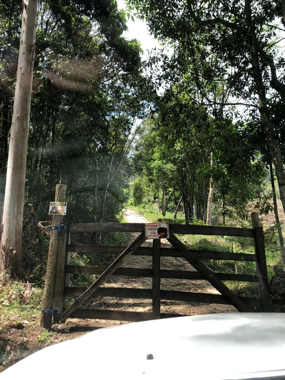 Sítio à venda de 14 ha em Alagoa, MG, Brasil