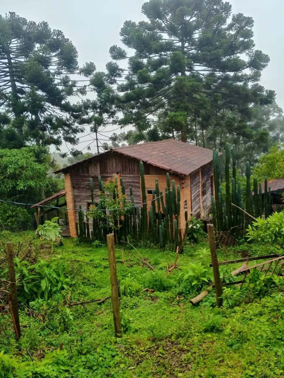Sítio à venda de 14 ha em Alagoa, MG, Brasil