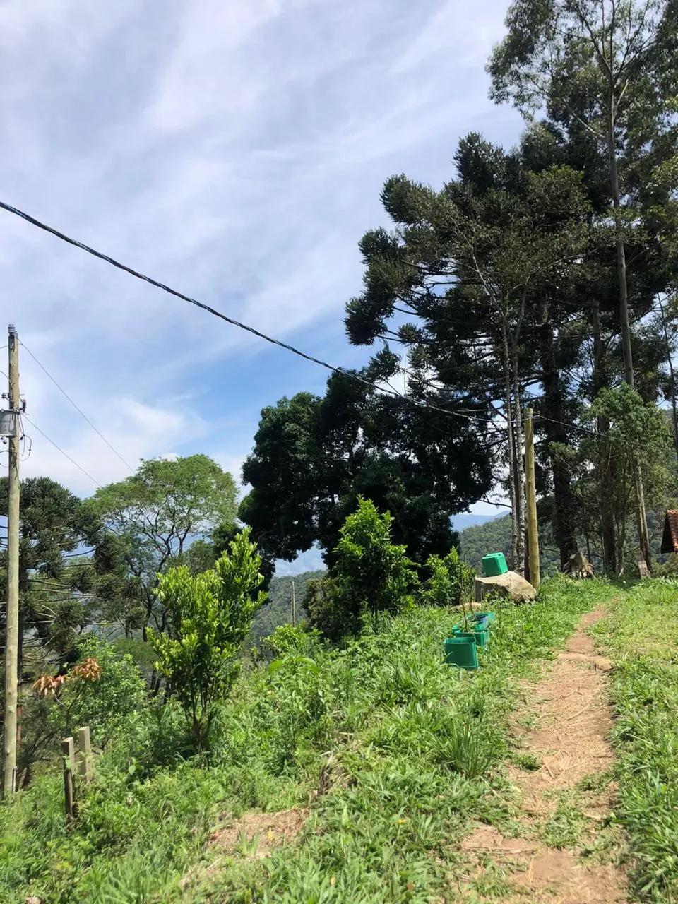 Sítio à venda de 14 ha em Alagoa, MG, Brasil