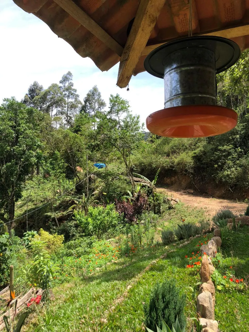 Sítio à venda de 14 ha em Alagoa, MG, Brasil