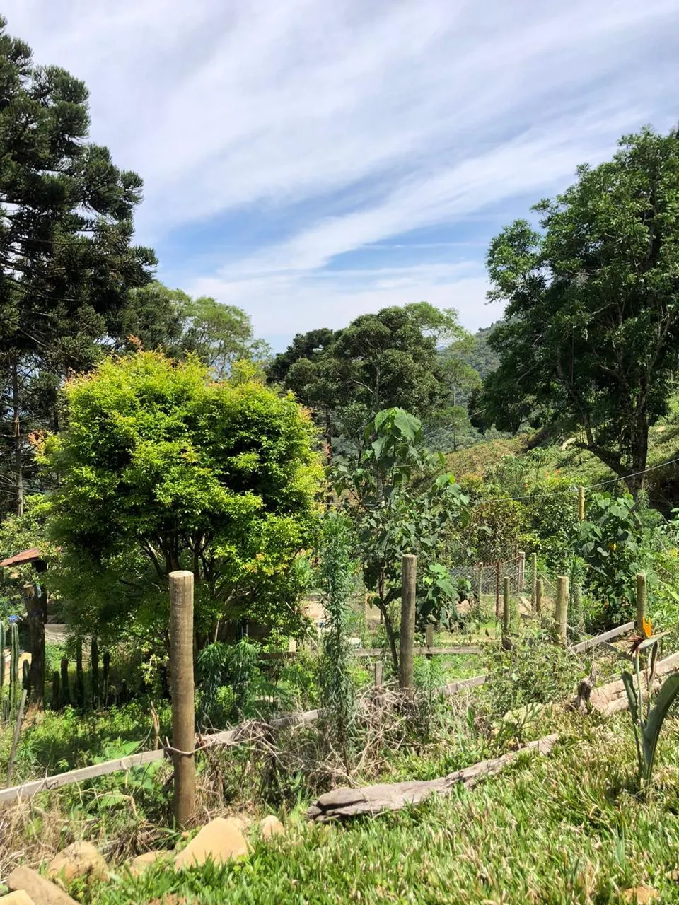 Sítio à venda de 14 ha em Alagoa, MG, Brasil