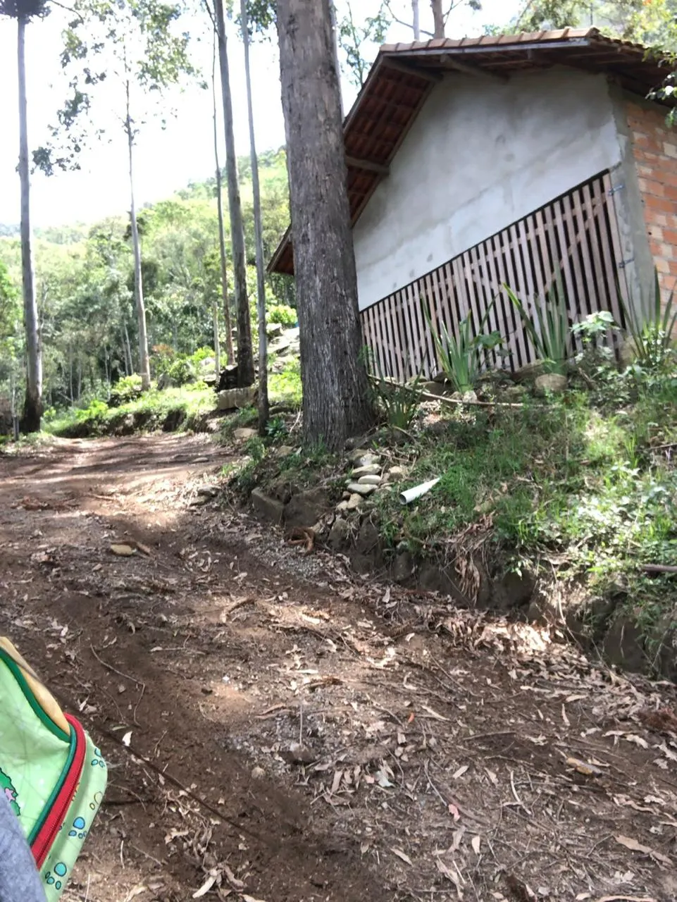 Sítio à venda de 14 ha em Alagoa, MG, Brasil