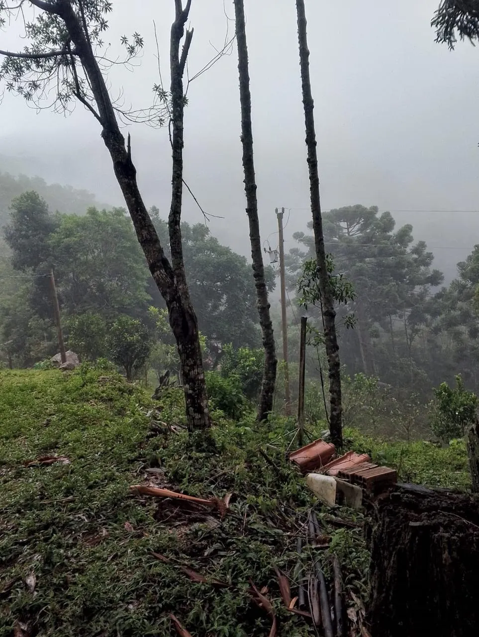 Sítio à venda de 14 ha em Alagoa, MG, Brasil