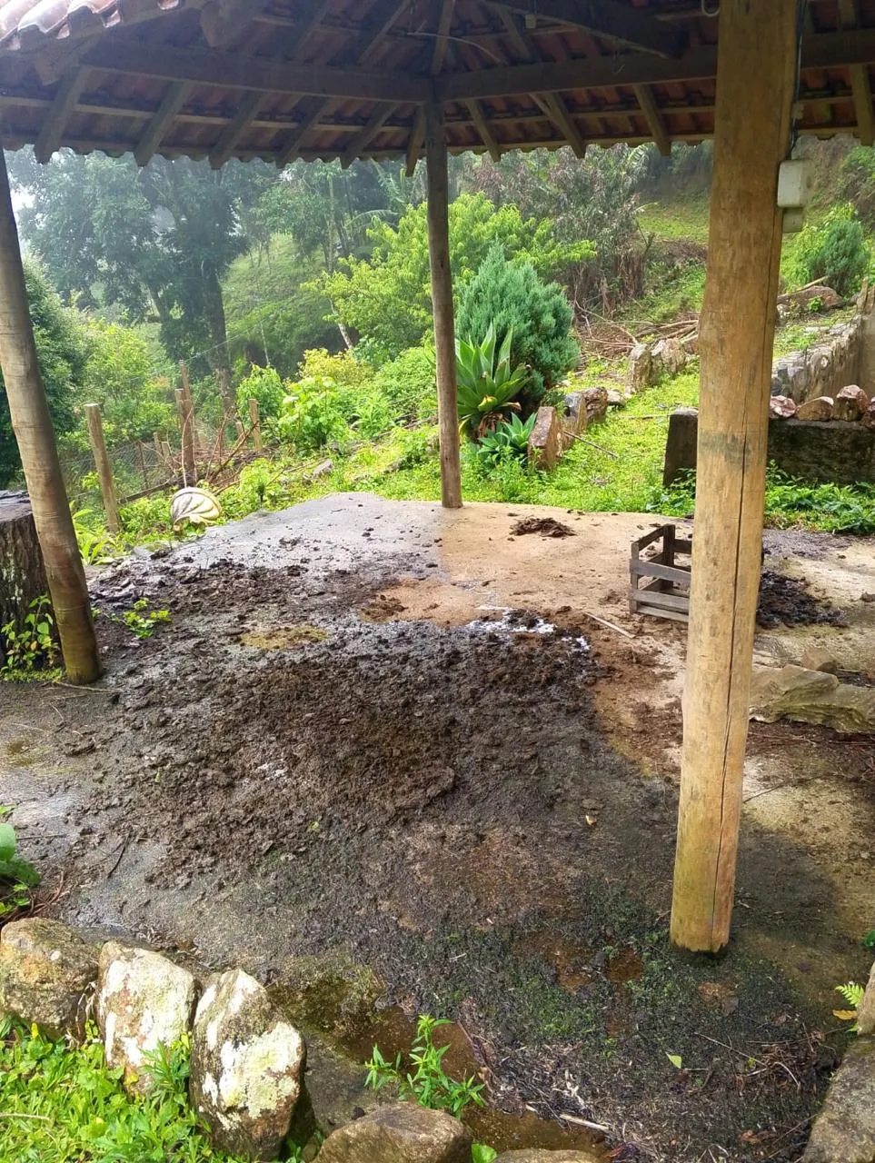Sítio à venda de 14 ha em Alagoa, MG, Brasil