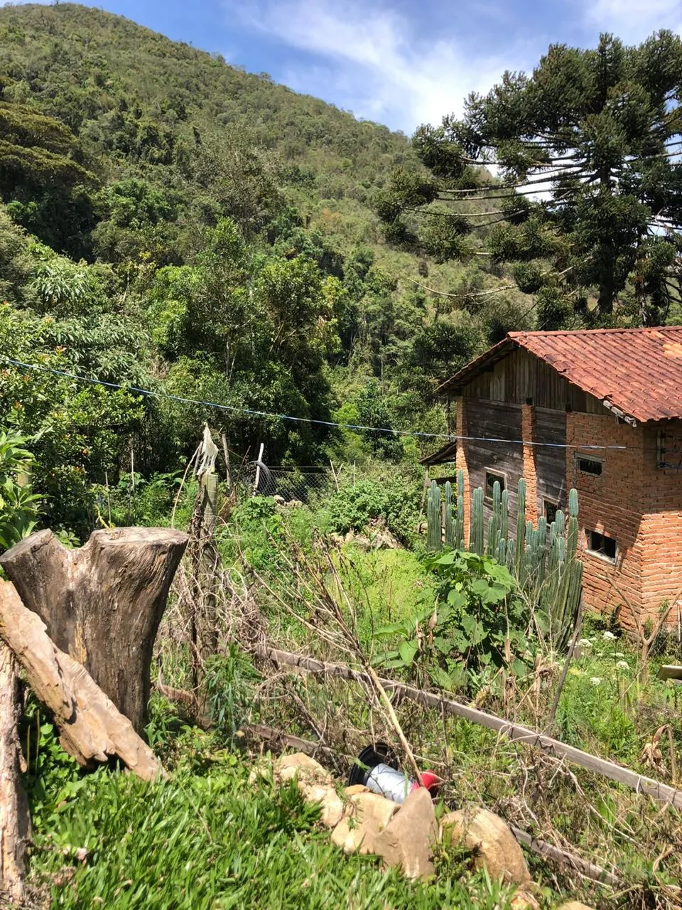 Sítio à venda de 14 ha em Alagoa, MG, Brasil