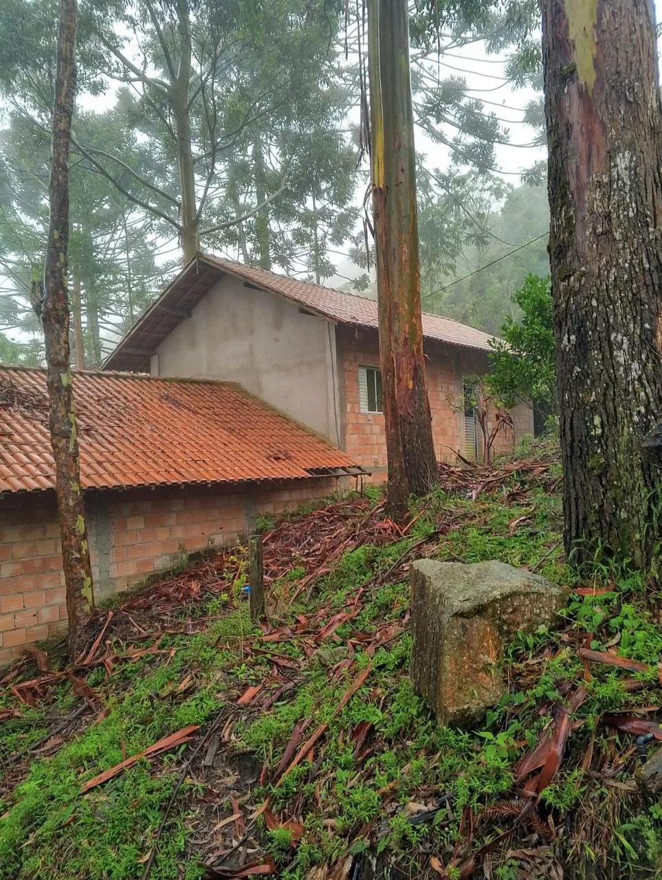 Sítio à venda de 14 ha em Alagoa, MG, Brasil