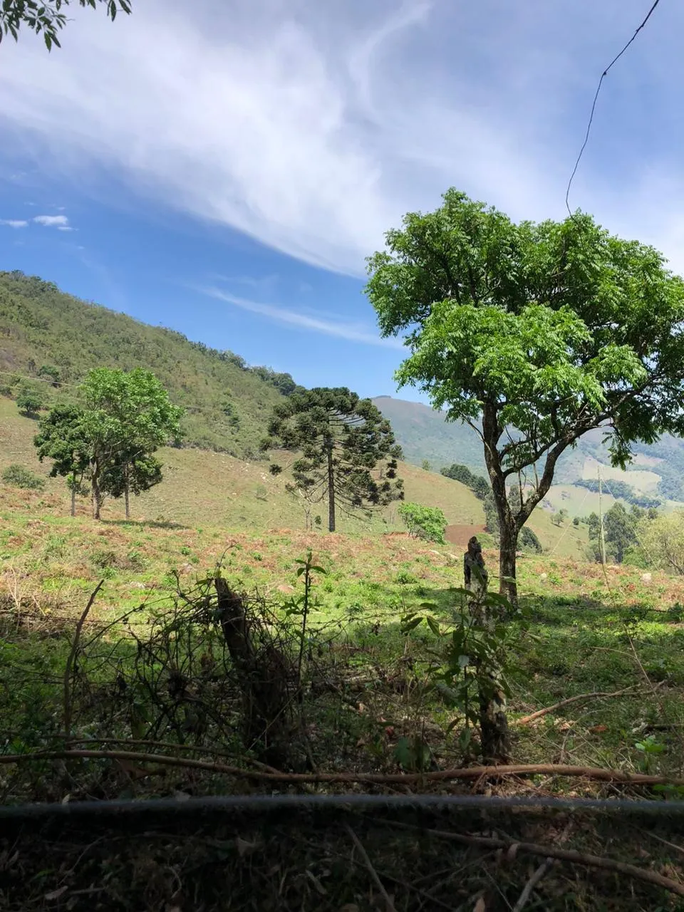 Sítio à venda de 14 ha em Alagoa, MG, Brasil