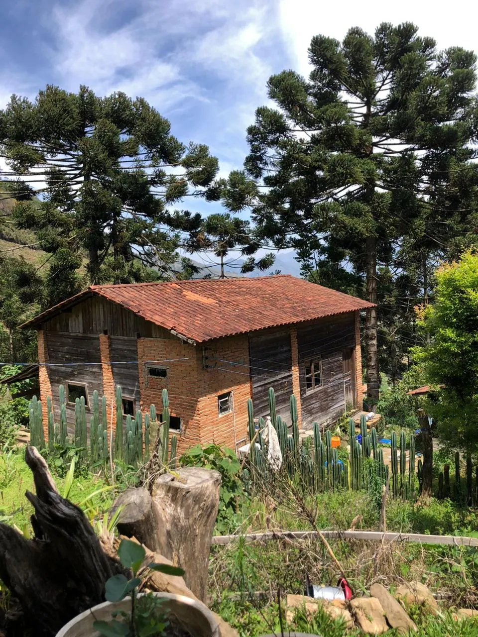 Sítio à venda de 14 ha em Alagoa, MG, Brasil