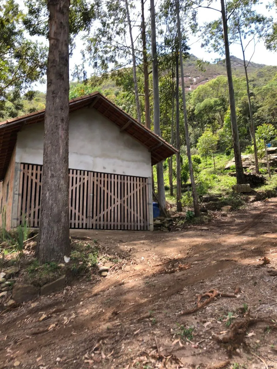 Sítio à venda de 14 ha em Alagoa, MG, Brasil