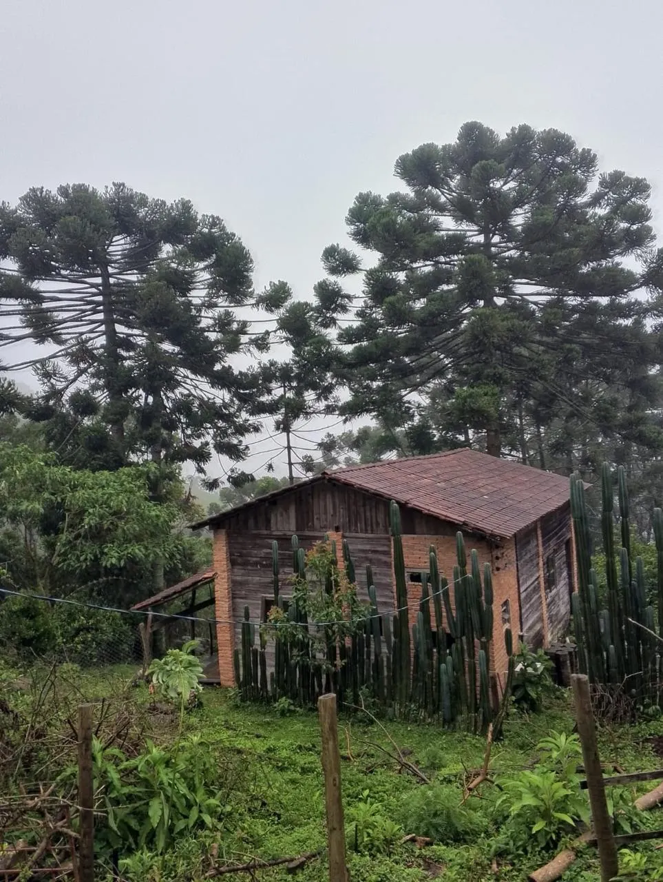 Sítio à venda de 14 ha em Alagoa, MG, Brasil