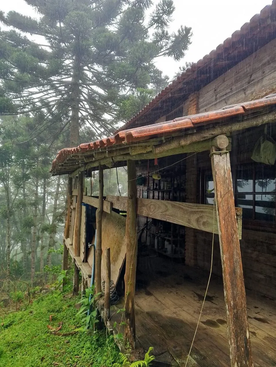 Sítio à venda de 14 ha em Alagoa, MG, Brasil