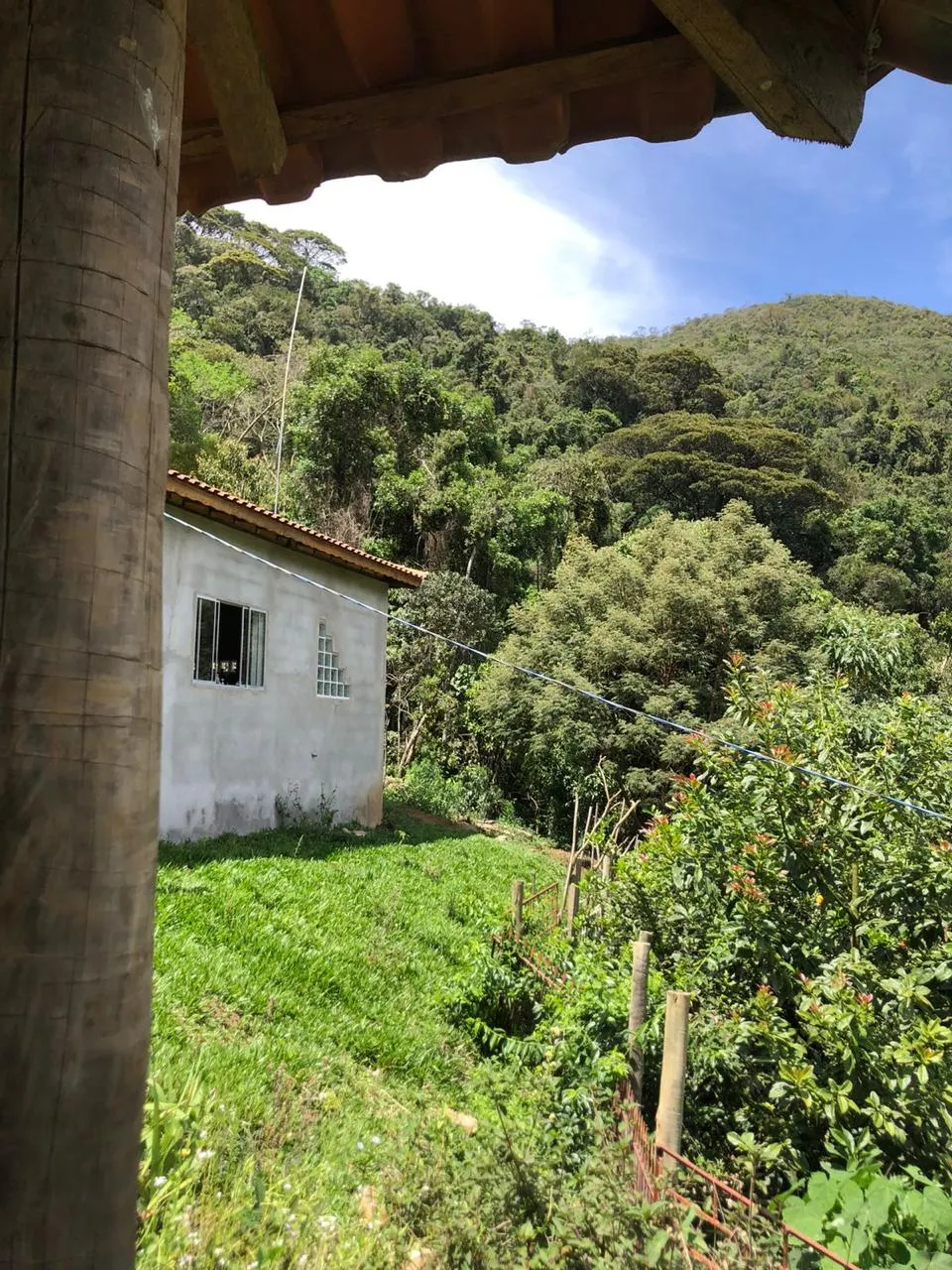 Sítio à venda de 14 ha em Alagoa, MG, Brasil