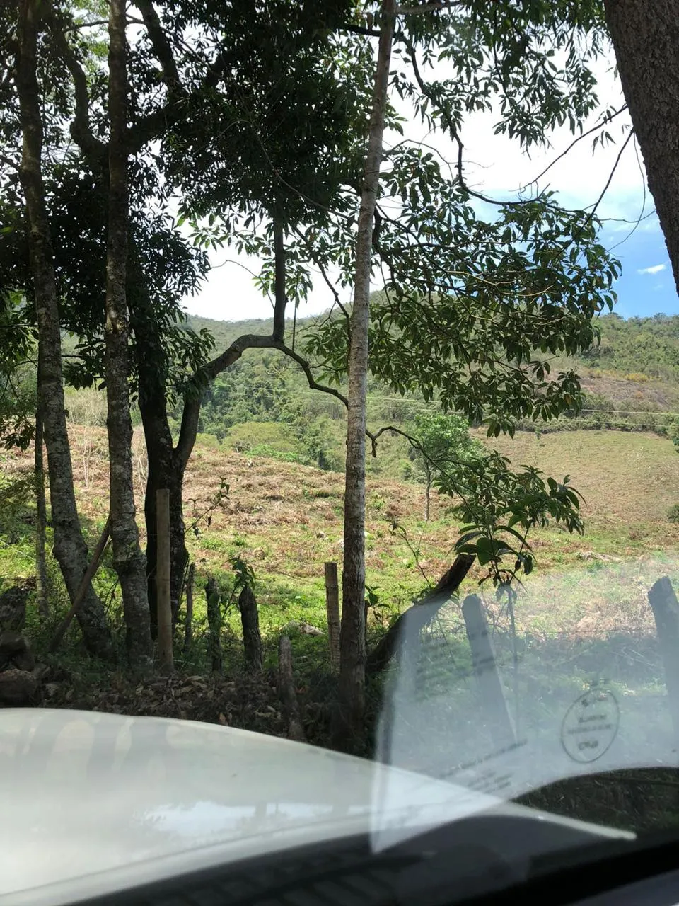 Sítio à venda de 14 ha em Alagoa, MG, Brasil