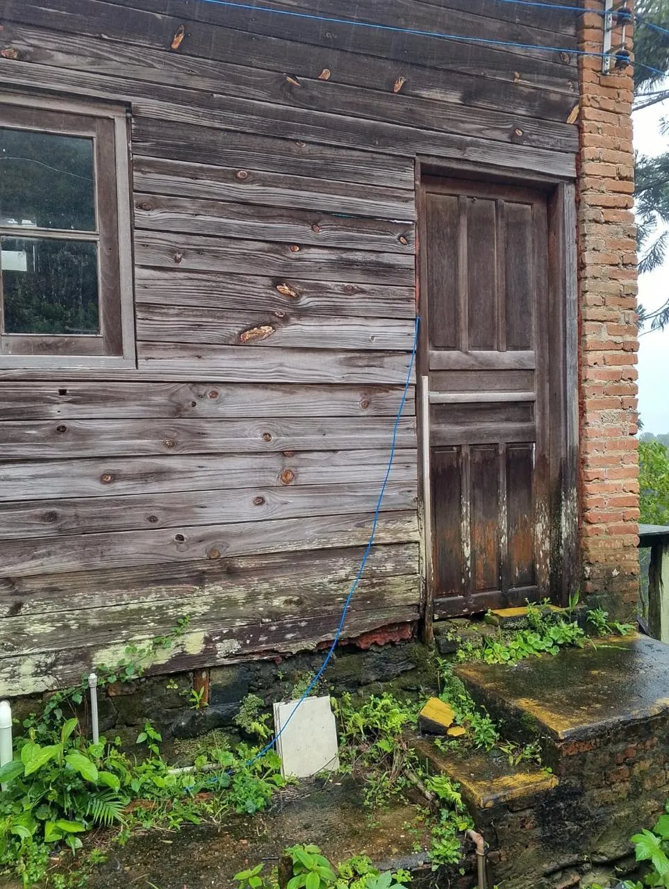 Sítio à venda de 14 ha em Alagoa, MG, Brasil