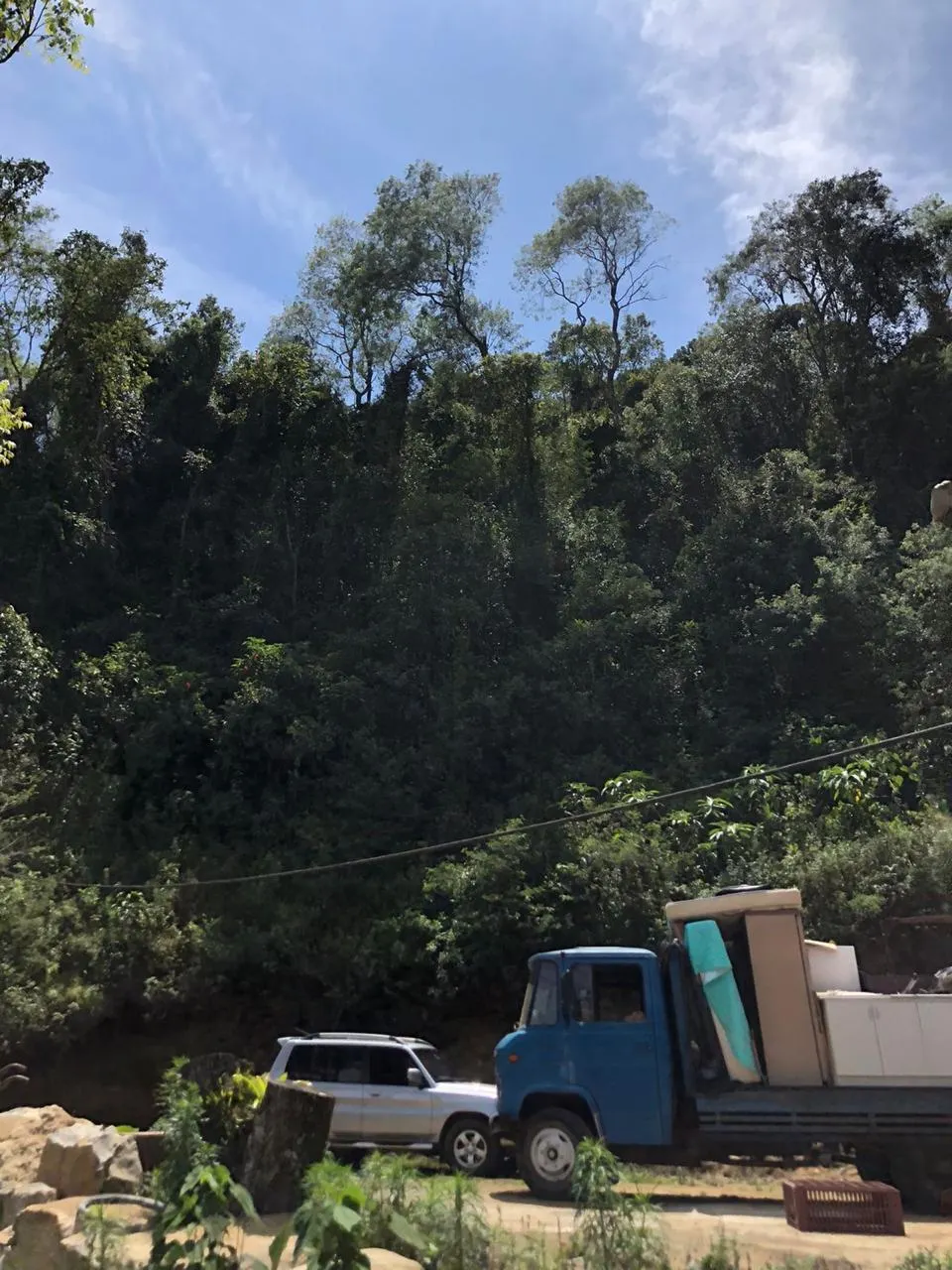 Sítio à venda de 14 ha em Alagoa, MG, Brasil