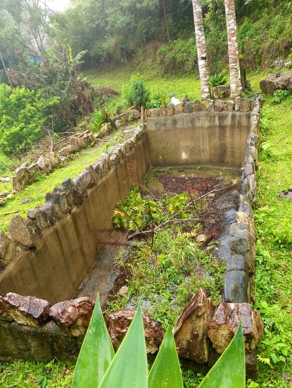Sítio à venda de 14 ha em Alagoa, MG, Brasil