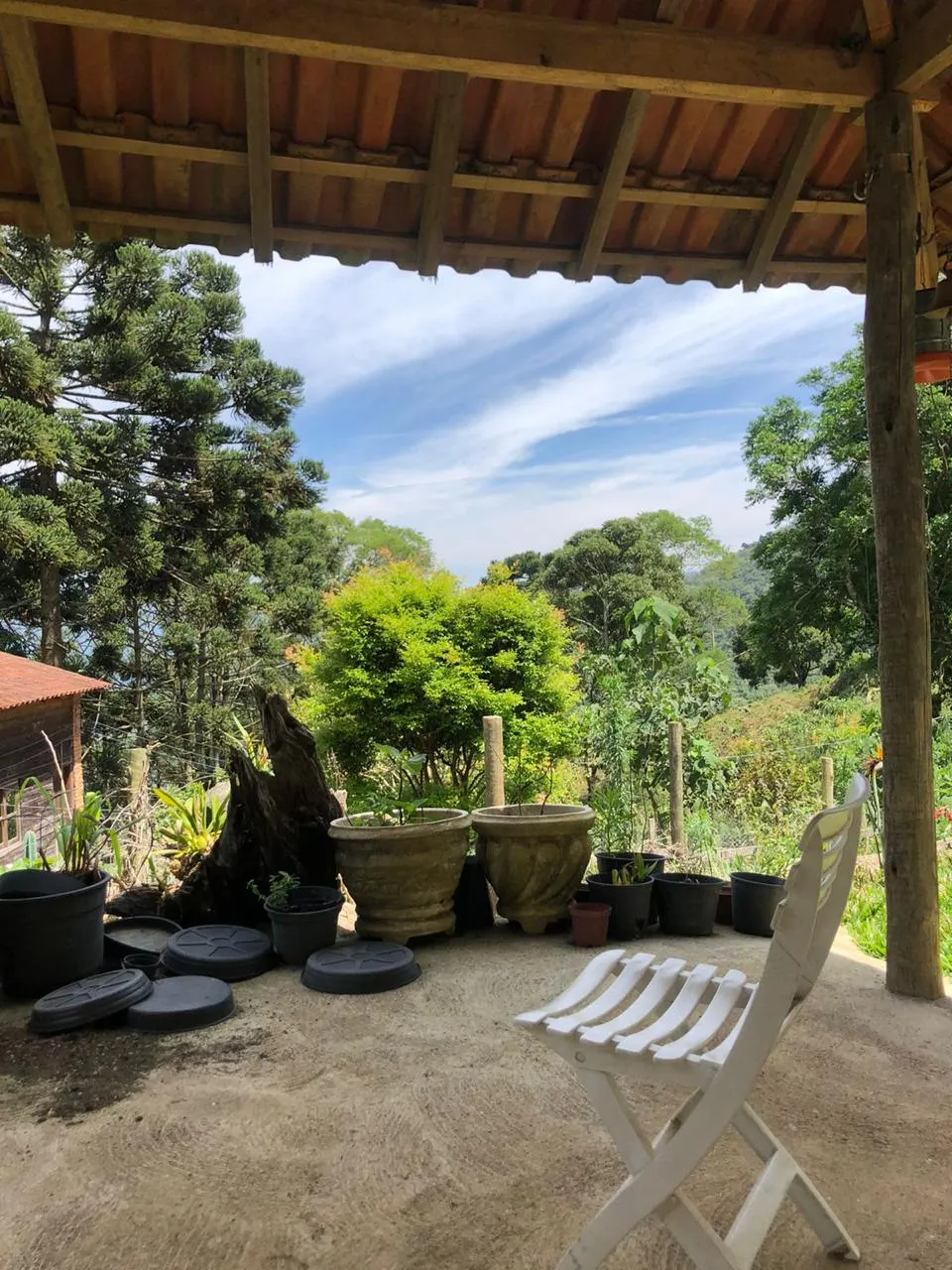 Sítio à venda de 14 ha em Alagoa, MG, Brasil