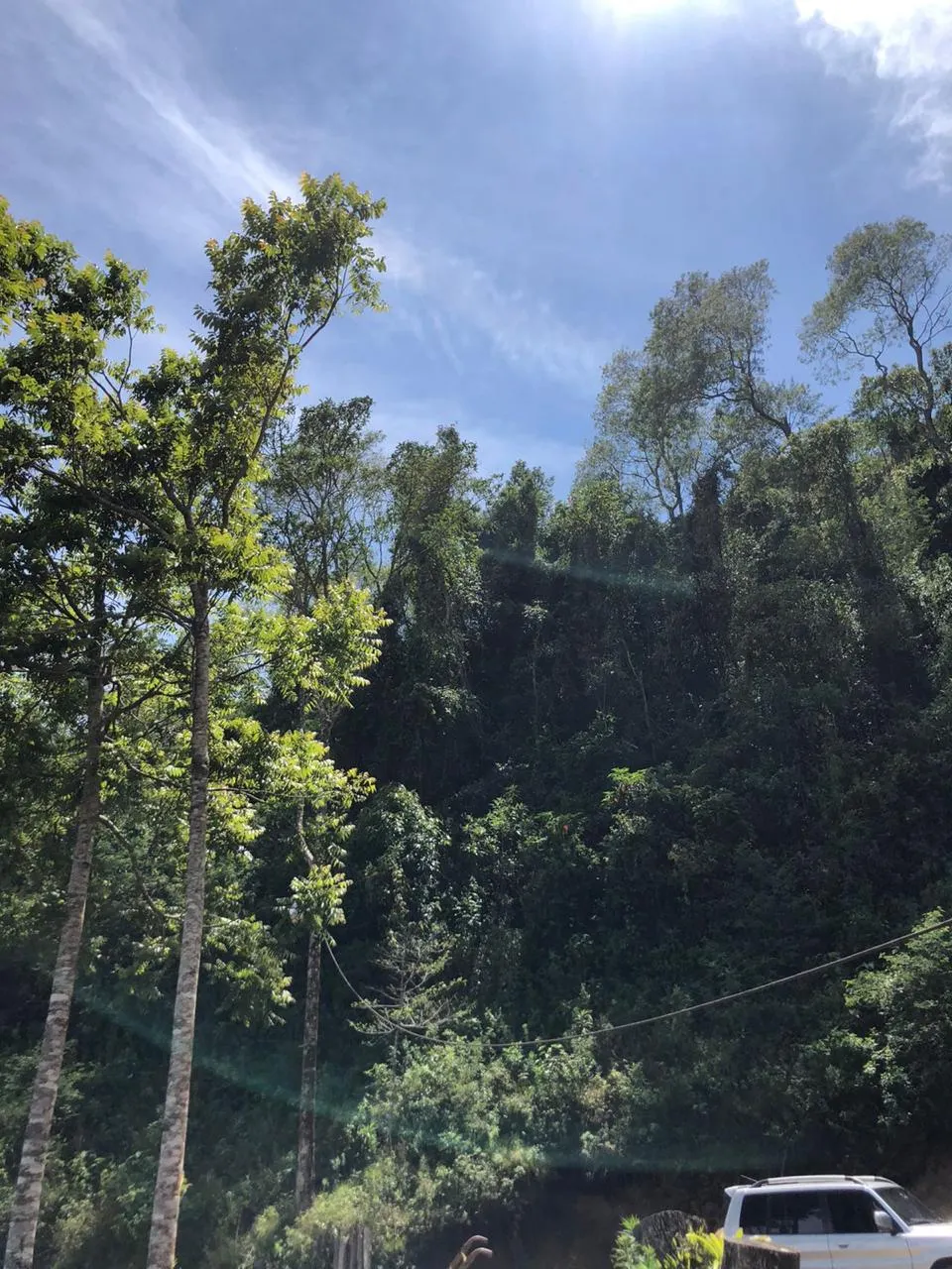 Sítio à venda de 14 ha em Alagoa, MG, Brasil