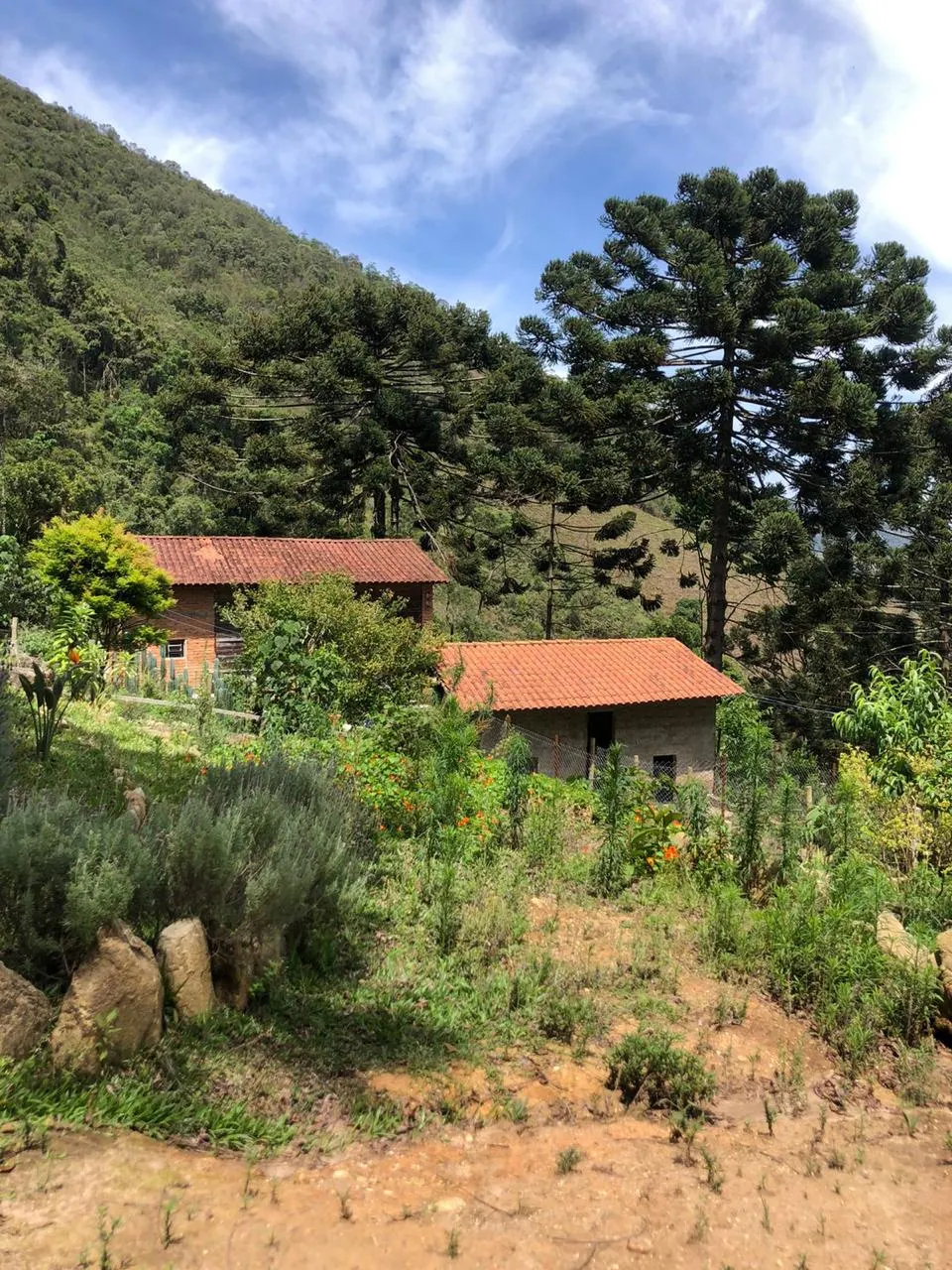 Sítio à venda de 14 ha em Alagoa, MG, Brasil