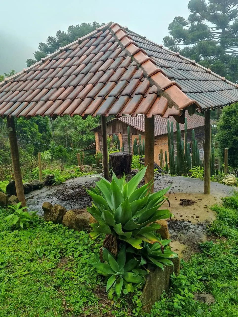 Sítio à venda de 14 ha em Alagoa, MG, Brasil