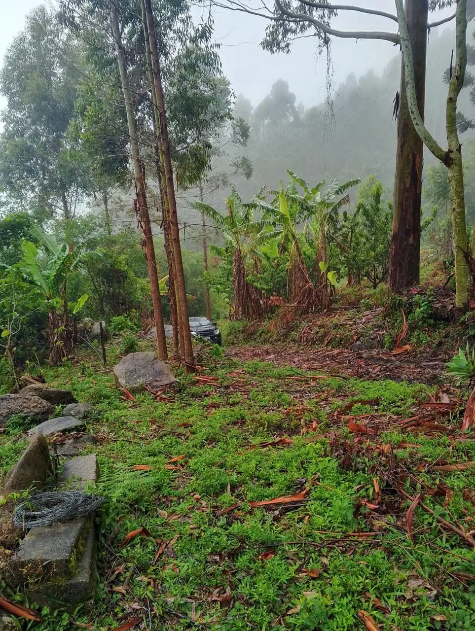 Sítio à venda de 14 ha em Alagoa, MG, Brasil