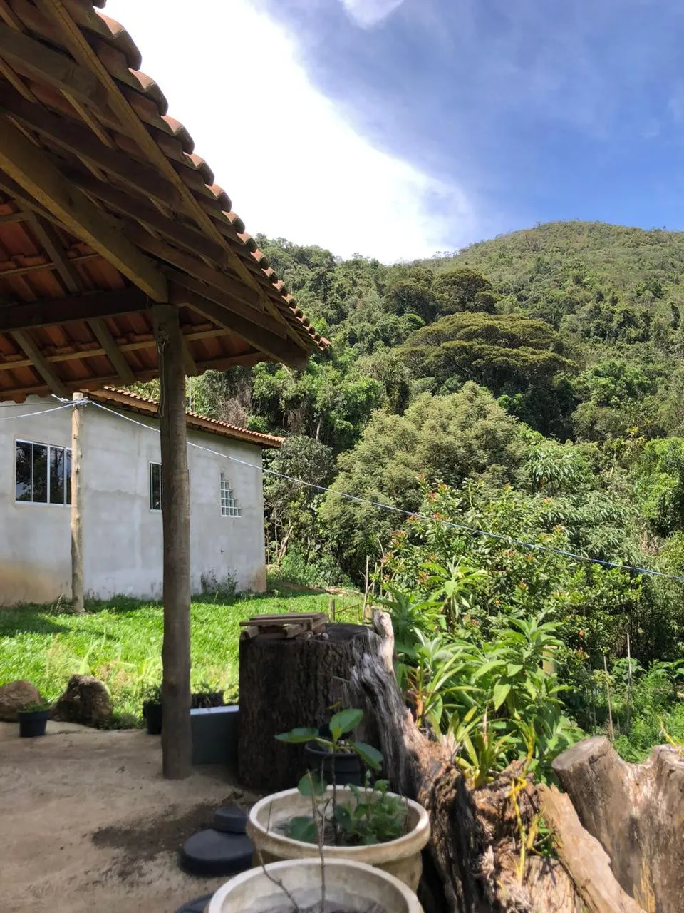 Sítio à venda de 14 ha em Alagoa, MG, Brasil