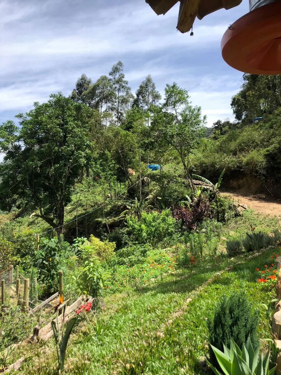 Sítio à venda de 14 ha em Alagoa, MG, Brasil