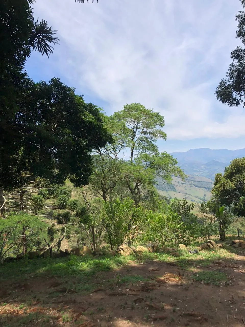 Sítio à venda de 14 ha em Alagoa, MG, Brasil