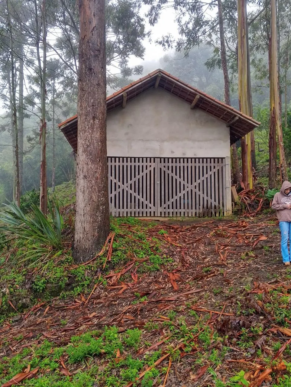 Sítio à venda de 14 ha em Alagoa, MG, Brasil