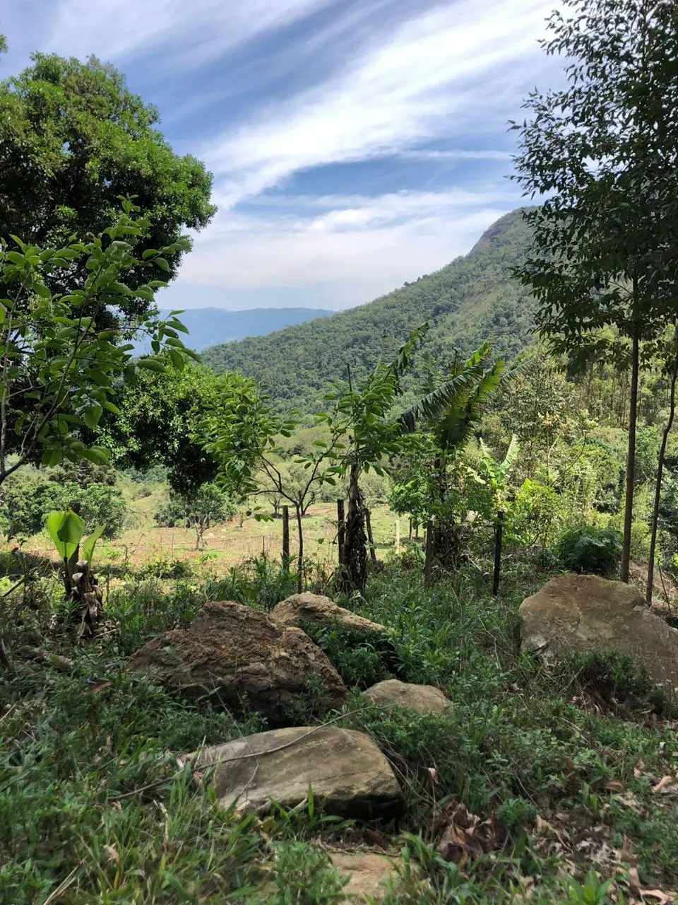 Sítio à venda de 14 ha em Alagoa, MG, Brasil