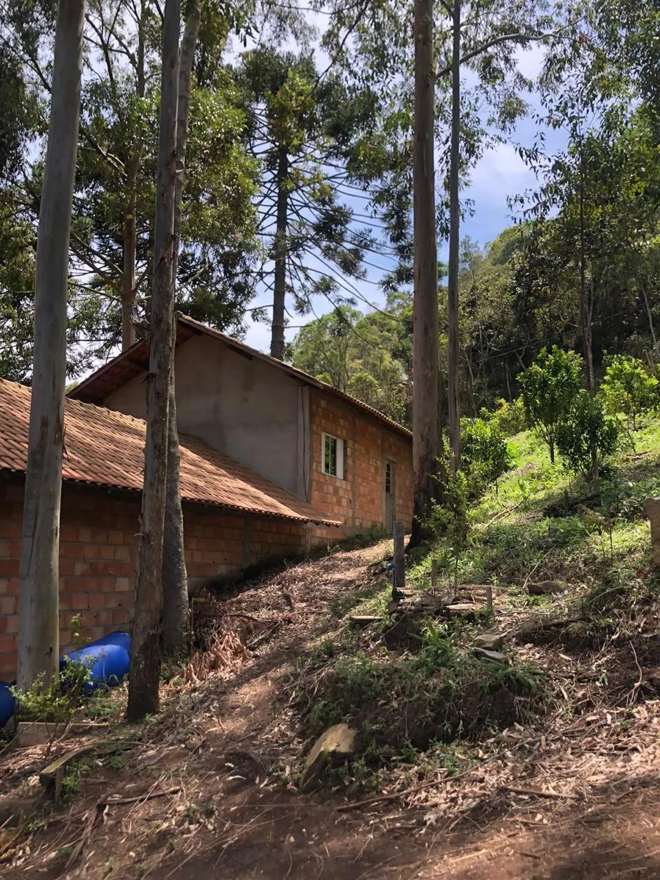Sítio à venda de 14 ha em Alagoa, MG, Brasil