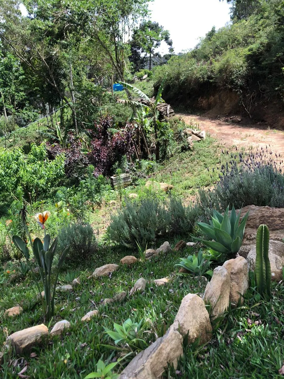 Sítio à venda de 14 ha em Alagoa, MG, Brasil